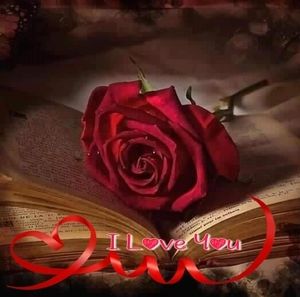 Meet your Posher, Brenda loomis